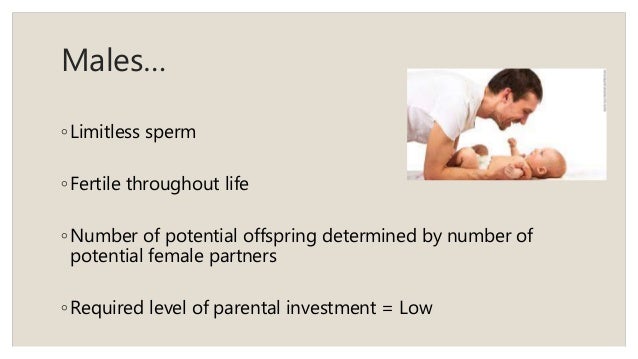 Parental investment theory