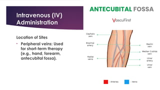Parenteral Routes of Drug Administration: IM, IV, ID, and SC Injections ...