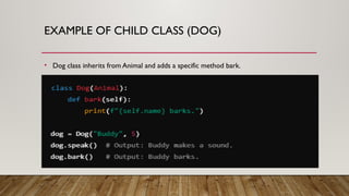 Parent and Child Classes in Object Oriented Programming.pptx