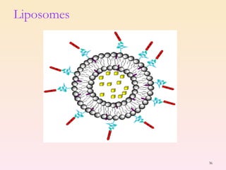 Liposomes 