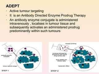 ADEPT Active tumour targeting It  is an Antibody Directed Enzyme Prodrug Therapy An antibody enzyme conjugate is administered intravenously , localises in tumour tissue and subsequently activates an administered prodrug predominantly within such tumours 