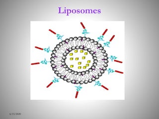 Liposomes
6/15/2020
 