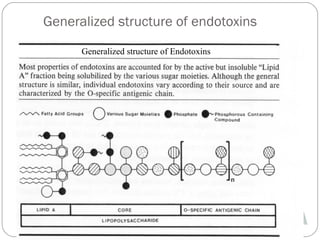 Generalized structure of endotoxins
      Generalized structure of Endotoxins
 