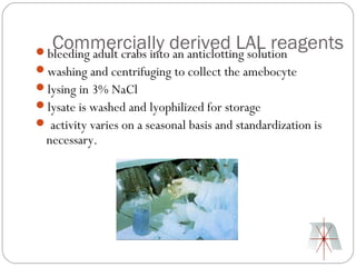 Commercially derived LAL reagents
bleeding adult crabs into an anticlotting solution
washing and centrifuging to collect the amebocyte
lysing in 3% NaCl
lysate is washed and lyophilized for storage
 activity varies on a seasonal basis and standardization is
  necessary.
 