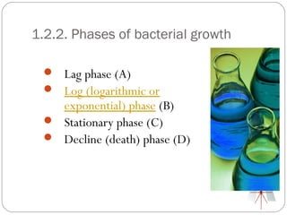 1.2.2. Phases of bacterial growth

  Lag phase (A)
  Log (logarithmic or
   exponential) phase (B)
  Stationary phase (C)
  Decline (death) phase (D)
 