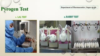 2/27/2017Sagar Kishor Savale 60
Pyrogen Test
Department of Pharmaceutics | Sagar savale
1. LAL TEST 2. RABBIT TEST
 