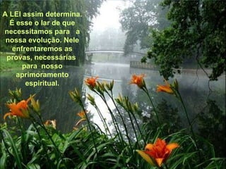 A LEI assim determina. É esse o lar de que necessitamos para  a nossa evolução. Nele enfrentaremos as provas, necessárias  para  nosso aprimoramento espiritual. 