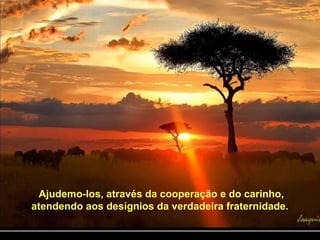 Ajudemo-Ios, através da cooperação e do carinho, atendendo aos desígnios da verdadeira fraternidade.  