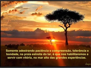 Somente adestrando paciência e compreensão, tolerância e bondade, na praia estreita do lar, é que nos habilitaremos a servir com vitória, no mar alto das grandes experiências.  