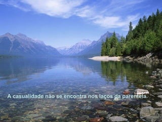 A casualidade não se encontra nos laços da parentela.  