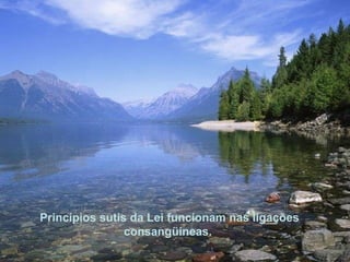 Princípios sutis da Lei funcionam nas ligações consangüíneas.  