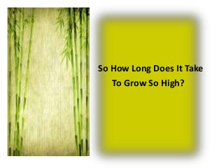SO how long does it take to




                              So How Long Does It Take
                                 To Grow So High?
 