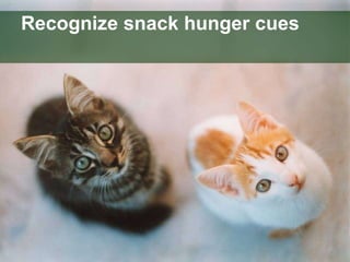 Recognize snack hunger cues 