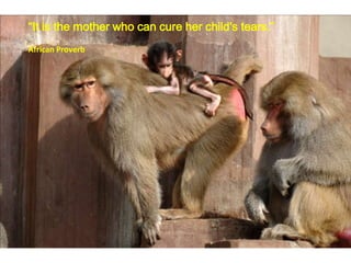 It is the mother who can cure her child's tears.
African Proverb
 