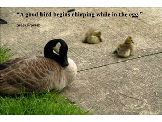 A good bird begins chirping while in the egg.
Greek Proverb
 
