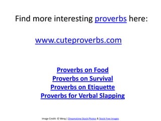 Find more interesting proverbs here:

     www.cuteproverbs.com


           Proverbs on Food
         Proverbs on Survival
         Proverbs on Etiquette
      Proverbs for Verbal Slapping


       Image Credit: ? Werg | Dreamstime Stock Photos & Stock Free Images
 