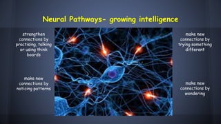 Neural Pathways- growing intelligence
strengthen
connections by
practising, talking
or using think
boards
make new
connections by
trying something
different
make new
connections by
noticing patterns
make new
connections by
wondering
 