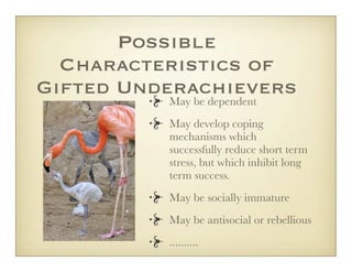 Possible
  Characteristics of
Gifted Underachievers
          May be dependent
          May develop coping
          mechanisms which
          successfully reduce short term
          stress, but which inhibit long
          term success.
          May be socially immature
          May be antisocial or rebellious
          ..........
 