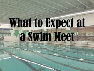 What to Expect at
a Swim Meet

 