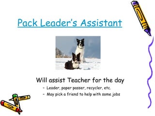 Pack Leader’s Assistant Will assist Teacher for the day Leader, paper passer, recycler, etc.  May pick a friend to help with some jobs 