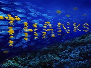 Parent Night Presentation