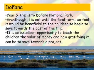 Doñana 
•Year 5 Trip is to Doñana National Park. 
•Eventhough it is not until the final term, we feel 
it would be beneficial to the children to begin to 
save towards the cost of the trip. 
•It is an excellent opportunity to teach the 
children the value of money and how gratifying it 
can be to save towards a project. 
 