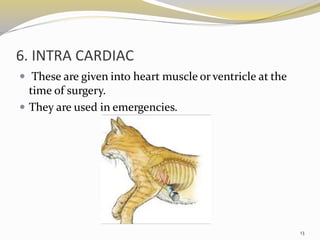 6. INTRA CARDIAC
 These are given into heart muscle or ventricle at the
time of surgery.
 They are used in emergencies.
13
 