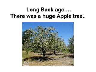 Long Back ago … There was a huge Apple tree..   
