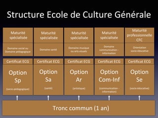 Option
Sp
(socio-pédagogique)
Certificat ECG
Option
Sa
(santé)
Certificat ECG
Option
Ar
(artistique)
Certificat ECG
Option
Com-Inf
(communication -
information)
Certificat ECG
Structure Ecole de Culture Générale
Option
Se
(socio-éducative)
Certificat ECG
Maturité
spécialisée
Domaine social ou
Domaine pédagogique
Domaine santé
Maturité
spécialisée
Domaine
communication -
information
Maturité
spécialisée
Maturité
spécialisée
Domaine musique
ou arts visuels
Maturité
professionnelle
CFC
Orientation
socio-éducative
Tronc commun (1 an)
 