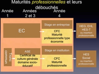 Tronc
commun
ASE
Certificat de
culture générale
domaine socio-
éducatif
Stage en institution
CFC
Maturité
professionnelle
HES
Social
ou insertion
professionnelle
Années
2 et 3
Année
1
Année
4
Maturités professionnelles et leurs
débouchés
HEG, EHL
HES-T
ou insertion
professionnelle
Stage en entreprise
CFC
Maturité
professionnelle type
économie
EC
 