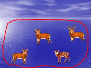 Tips to get good marks in 12th board exams