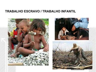 TRABALHO ESCRAVO / TRABALHO INFANTIL
 