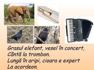 Grasul elefant ,  vesel în concert , Cântă la trombon. Lungă în aripi ,  cioara e expert La acordeon. 