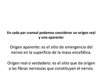 En cada par craneal podemos considerar un origen real
y uno aparente:

Origen aparente: es el sitio de emergencia del
nervio en la superficie de la masa encefálica.
Origen real o verdadero: es el sitio que da origen
a las fibras nerviosas que constituyen el nervio.

 