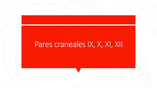 Pares craneales IX, X, XI, XII
 