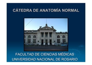 CÁTEDRA DE ANATOMÍA NORMAL




 FACULTAD DE CIENCIAS MÉDICAS
UNIVERSIDAD NACIONAL DE ROSARIO
 
