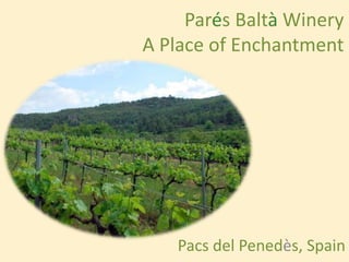 ParésBaltà WineryA Place of Enchantment Pacs del Penedès, Spain 