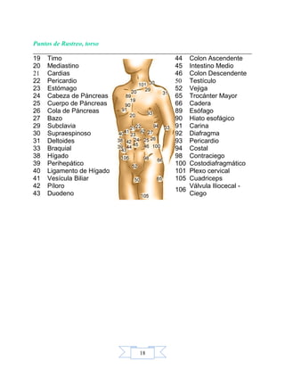 18
Puntos de Rastreo, torso
19 Timo
20 Mediastino
21 Cardias
22 Pericardio
23 Estómago
24 Cabeza de Páncreas
25 Cuerpo de Páncreas
26 Cola de Páncreas
27 Bazo
29 Subclavia
30 Supraespinoso
31 Deltoides
33 Braquial
38 Hígado
39 Perihepático
40 Ligamento de Hígado
41 Vesícula Biliar
42 Píloro
43 Duodeno
44 Colon Ascendente
45 Intestino Medio
46 Colon Descendente
50 Testículo
52 Vejiga
65 Trocánter Mayor
66 Cadera
89 Esófago
90 Hiato esofágico
91 Carina
92 Diafragma
93 Pericardio
94 Costal
98 Contraciego
100 Costodiafragmático
101 Plexo cervical
105 Cuadriceps
106
Válvula Iliocecal -
Ciego
 