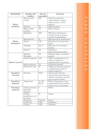 Modalidad         Nombre del        Nervio            Función
                     núcleo         asociado




                                                                             PARES
                 Motor ocular       III      Todos los músculos
                 común                       extraoculares, excepto
                                             oblicuo mayor y recto
   Motor                                     externo.
  somático       Patético           IV       Oblicuo mayor
                 Motor ocular       VI       Recto externo
                 externo
                 Hipogloso          XII       Músculos intrínsecos y
                                              extrínsecos de la lengua
                                              excepto el palatogloso.




                                                                             CRANEALES
                 Masticatorio       V         Músculos de la masticación
    Motor        Facial             VII       Músculos de la expresión
  branquial                                   facial.
                 Ambiguo            IX X      Músculos de la faringe y
                                              laringe.
                 Espinal            XI        Trapecio y
                                              Esternocleidomastoideo
                 Edinger-           III       Músculo ciliar, constrictor
                 Westphal                     pupilar.
                 Salival Superior   VII       Todas las glándulas de la
                                              cabeza, excepto los
Motor visceral                                tegumentarias y parótida.
                 Salival inferior   IX        Glándula parótida
                 Dorsal del vago    X         Todas las vísceras torácicas
                                              y abdominales hasta el
                                              ángulo esplénico.
  Sensitiva      Solitario          IX X      Información aferente
   visceral                                   visceral necesaria para los
                                              reflejos viscerales, náuseas
                                              pero no para el dolor.
  Sensitivo      Trigeminal         V, VII,   Dolor temperatura, tacto,
   general                          IX, X     propiocepción de la cabeza y
                                              cuello, senos y meninges.
  Sensitivo      Células mitrales   I         Olfato
  especial       del bulbo
                 olfatorio
                 Células            II        Visión
                 ganglionares de
                 la retina
                 Gustativo          VII, IX   Gusto
                 Vestibular         VIII      Equilibrio
                 Coclear            VIII      Audición
 