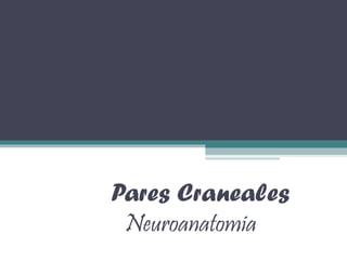 Pares Craneales Neuroanatomia 