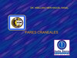 PARES CRANEALES DR. ARELLANO NERI MIGUEL ANGEL 