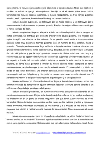 cara externa. El nervio esfenopalatino sólo abandona al ganglio algunas fibras que reciben el
nombre de raíces de ganglio esfenopalatino. Debajo de él el nervio emite varios ramos
terminales: los nervios nasales superiores, el nervio nasopalatino, los tres nervios palatinos
anterior, medio y posterior, los nervios orbitarios y los nervios dentarios.
       Nervios nasales superiores, se distribuyen por las fosas nasales, y se distribuyen por la
mucosa que tapiza los cornetes superiores y medio. Pueden dar origen a filetes que constituyen
el nervio faríngeo de Bock.
       Nervio nasopalatino, llega así a la parte anterior de la bóveda palatina, donde se agota en
filetes terminales. Se distribuye por el cuarto anterior de la bóveda palatina, y la mucosa que
tapiza la región retroalveolar de los incisivos. En su porción nasal, envía a la mucosa nasal
algunos filetes muy dispersos. Nervios palatinos son en número de tres, anterior, medio y
posterior. El nervio palatino anterior llega así hasta la bóveda palatina, donde se divide en dos
grupos de filetes terminales, filetes posteriores muy delgados, que se distribuyen por la mucosa
del velo del paladar y por la capa granulosa subyacente, filetes anteriores, más largos y
voluminosos, que se agotan en la mucosa de las cencías superiores y de la bóveda palatina. En
su trayecto a través del conducto palatino anterior, el nervio de este nombre da un ramo
colateral, el nervio nasal posterior e inferior. El nervio palatino medio acompaña al nervio
palatino anterior, se distribuye por la mucosa del velo del paladar. El nervio palatino posterior se
divide en dos ramas terminales: una anterior, sensitiva, que se distribuye por la mucosa de la
cara superior del velo del paladar, y otra posterior, motora, que inerva los músculos del velo. El
periestafilino interno, el ácigos de la campanilla, el palatogloso y el faringoestafilino.
       Nervios orbitarios, en número de dos o tres, llegan a las células etmoidales, en las que
terminan después de transponer el agujero etmoidal posterior, la sutura esfeno etmoidal o un
orificio que ofrece la hoja papirácea del etmoides.
       Nervios dentarios posteriores, en número de dos o tres, desaparecen finalmente en los
canales dentarios posteriores. Llegan así a las raíces de los molares, en las cuales se dividen y
se anastomosan en un plexo de mallas irregulares, del que salen cuatro órdenes de filetes
terminales: filetes dentarios, que penetran en las raíces de los molares grandes y pequeños,
filetes alveolares, destinados al periostio de los alvéolos y a la mucosa de las encías, filetes
mucosos, que vienen a ratificarse en la mucosa del seno maxilar, filetes óseos para el propio
maxilar.
       Nervio dentario anterior, nace en el conducto suborbitario, se dirige hacia los incisivos,
termina encima de los incisivos. Suministra algunos filetes recurrentes que van a anastomosarse
con el plexo dentario, en seguida: filetes nasales que van a la mucosa del conducto nasal, filetes



       Santa Cruz de La Sierra, Bolivia, 2011. renatynn@hotmail.com   * http://lattes.cnpq.br/6160020095886023
 