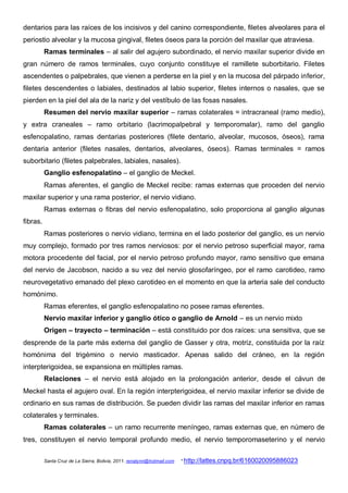 dentarios para las raíces de los incisivos y del canino correspondiente, filetes alveolares para el
periostio alveolar y la mucosa gingival, filetes óseos para la porción del maxilar que atraviesa.
          Ramas terminales – al salir del agujero subordinado, el nervio maxilar superior divide en
gran número de ramos terminales, cuyo conjunto constituye el ramillete suborbitario. Filetes
ascendentes o palpebrales, que vienen a perderse en la piel y en la mucosa del párpado inferior,
filetes descendentes o labiales, destinados al labio superior, filetes internos o nasales, que se
pierden en la piel del ala de la nariz y del vestíbulo de las fosas nasales.
          Resumen del nervio maxilar superior – ramas colaterales = intracraneal (ramo medio),
y extra craneales – ramo orbitario (lacrimopalpebral y temporomalar), ramo del ganglio
esfenopalatino, ramas dentarias posteriores (filete dentario, alveolar, mucosos, óseos), rama
dentaria anterior (filetes nasales, dentarios, alveolares, óseos). Ramas terminales = ramos
suborbitario (filetes palpebrales, labiales, nasales).
          Ganglio esfenopalatino – el ganglio de Meckel.
          Ramas aferentes, el ganglio de Meckel recibe: ramas externas que proceden del nervio
maxilar superior y una rama posterior, el nervio vidiano.
          Ramas externas o fibras del nervio esfenopalatino, solo proporciona al ganglio algunas
fibras.
          Ramas posteriores o nervio vidiano, termina en el lado posterior del ganglio, es un nervio
muy complejo, formado por tres ramos nerviosos: por el nervio petroso superficial mayor, rama
motora procedente del facial, por el nervio petroso profundo mayor, ramo sensitivo que emana
del nervio de Jacobson, nacido a su vez del nervio glosofaríngeo, por el ramo carotideo, ramo
neurovegetativo emanado del plexo carotideo en el momento en que la arteria sale del conducto
homónimo.
          Ramas eferentes, el ganglio esfenopalatino no posee ramas eferentes.
          Nervio maxilar inferior y ganglio ótico o ganglio de Arnold – es un nervio mixto
          Origen – trayecto – terminación – está constituido por dos raíces: una sensitiva, que se
desprende de la parte más externa del ganglio de Gasser y otra, motriz, constituida por la raíz
homónima del trigémino o nervio masticador. Apenas salido del cráneo, en la región
interpterigoidea, se expansiona en múltiples ramas.
          Relaciones – el nervio está alojado en la prolongación anterior, desde el cávun de
Meckel hasta el agujero oval. En la región interpterigoidea, el nervio maxilar inferior se divide de
ordinario en sus ramas de distribución. Se pueden dividir las ramas del maxilar inferior en ramas
colaterales y terminales.
          Ramas colaterales – un ramo recurrente meníngeo, ramas externas que, en número de
tres, constituyen el nervio temporal profundo medio, el nervio temporomaseterino y el nervio

          Santa Cruz de La Sierra, Bolivia, 2011. renatynn@hotmail.com   * http://lattes.cnpq.br/6160020095886023
 