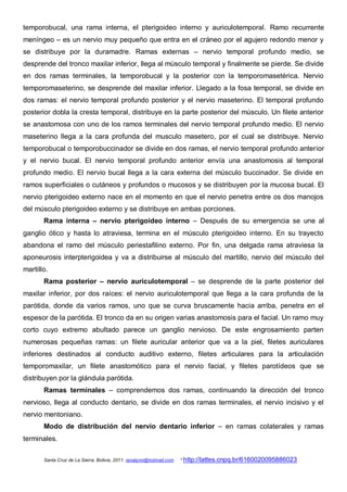 temporobucal, una rama interna, el pterigoideo interno y auriculotemporal. Ramo recurrente
meníngeo – es un nervio muy pequeño que entra en el cráneo por el agujero redondo menor y
se distribuye por la duramadre. Ramas externas – nervio temporal profundo medio, se
desprende del tronco maxilar inferior, llega al músculo temporal y finalmente se pierde. Se divide
en dos ramas terminales, la temporobucal y la posterior con la temporomasetérica. Nervio
temporomaseterino, se desprende del maxilar inferior. Llegado a la fosa temporal, se divide en
dos ramas: el nervio temporal profundo posterior y el nervio maseterino. El temporal profundo
posterior dobla la cresta temporal, distribuye en la parte posterior del músculo. Un filete anterior
se anastomosa con uno de los ramos terminales del nervio temporal profundo medio. El nervio
maseterino llega a la cara profunda del musculo masetero, por el cual se distribuye. Nervio
temporobucal o temporobuccinador se divide en dos ramas, el nervio temporal profundo anterior
y el nervio bucal. El nervio temporal profundo anterior envía una anastomosis al temporal
profundo medio. El nervio bucal llega a la cara externa del músculo buccinador. Se divide en
ramos superficiales o cutáneos y profundos o mucosos y se distribuyen por la mucosa bucal. El
nervio pterigoideo externo nace en el momento en que el nervio penetra entre os dos manojos
del músculo pterigoideo externo y se distribuye en ambas porciones.
       Rama interna – nervio pterigoideo interno – Después de su emergencia se une al
ganglio ótico y hasta lo atraviesa, termina en el músculo pterigoideo interno. En su trayecto
abandona el ramo del músculo periestafilino externo. Por fin, una delgada rama atraviesa la
aponeurosis interpterigoidea y va a distribuirse al músculo del martillo, nervio del músculo del
martillo.
       Rama posterior – nervio auriculotemporal – se desprende de la parte posterior del
maxilar inferior, por dos raíces: el nervio auriculotemporal que llega a la cara profunda de la
parótida, donde da varios ramos, uno que se curva bruscamente hacia arriba, penetra en el
espesor de la parótida. El tronco da en su origen varias anastomosis para el facial. Un ramo muy
corto cuyo extremo abultado parece un ganglio nervioso. De este engrosamiento parten
numerosas pequeñas ramas: un filete auricular anterior que va a la piel, filetes auriculares
inferiores destinados al conducto auditivo externo, filetes articulares para la articulación
temporomaxilar, un filete anastomótico para el nervio facial, y filetes parotídeos que se
distribuyen por la glándula parótida.
       Ramas terminales – comprendemos dos ramas, continuando la dirección del tronco
nervioso, llega al conducto dentario, se divide en dos ramas terminales, el nervio incisivo y el
nervio mentoniano.
       Modo de distribución del nervio dentario inferior – en ramas colaterales y ramas
terminales.

       Santa Cruz de La Sierra, Bolivia, 2011. renatynn@hotmail.com   * http://lattes.cnpq.br/6160020095886023
 