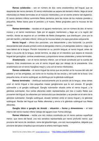 Ramas colaterales – son en número de dos: ramo anastomótico del lingual, que se
desprende del nervio dentario. El nervio milohioideo se separa del dentario inferior, llega al canal
milohioideo en filetes terminales en el músculo milohioideo y en el vientre anterior del digástrico.
El nervio dentario inferior suministra filetes dentarios para las raíces de los molares grandes y
pequeños, filetes óseos para el periostio y el hueso, filetes gingivales para la mucosa de las
encías.
      Ramas terminales – nacidas en el agujero mentoniano, son en número de dos: el nervio
incisivo y el nervio mentoniano. Sale por el agujero mentoniano y llega así a la región del
mentón, donde se esparce en un ramillete de filetes divergentes, que distribuyen, unos por la
piel del mentón y del labio inferior, otros por la mucosa labial y la capa granulosa subyacente.
      Nervio lingual – ofrece dos porciones, una descendente y otra horizontal. La porción
descendente está situada primero entre el pterigoideo interno y el pterigoideo externo. Llega a la
cara lateral de la lengua. Porción horizontal en su porción lengual, el nervio lingual, antes de
llegar a la punta de la lengua, donde termina, se aloja en el intersticio que separa el músculo
lingual del geniogloso, contrae anastomosis y proporciona ramas colaterales y ramos terminales.
      Anastomosis – con el nervio dentario inferior, con el facial constituido por la cuerda del
tímpano. Esta anastomosis se une al nervio lingual algo por debajo de la precedente. Una
anastomosis con el nervio hipogloso mayor y una con el nervio milohioideo.
      Ramas colaterales – el nervio lingual da ramos que se pierden en la mucosa del velo del
paladar y en las amígdalas, así como en la mucosa de las encías y del suelo de la boca. Una
pequeña rama, el nervio sublingual, se distribuye por la glándula sublingual.
      Ramos terminales – distribuye exclusivamente pro la porción de la lengua, otras ramas
unen el nervio lingual a dos pequeñas masas ganglionares que le son anexas. El ganglio
submaxilar y el ganglio sublingual. Ganglio submaxilar situado entre el nervio lingual, y la
glándula submaxilar. Sus ramos aferentes están representados por tres o cuatro filetes que
provienen del lingual; los eferentes por ramúsculos que descienden y se pierden en el seno de la
glándula submaxilar. Ganglio sublingual, situado también entre el nervio lingual y la glándula
sublingual. Recibe del lingual sus filetes aferentes y envía a la glándula sublingual sus filetes
eferentes.
      Ganglio ótico o ganglio de Arnold – situación – forma y dimensiones – el lado
interno del nervio maxilar inferior debajo del agujero oval. Forma oblonga.
      Ramas inferiores – recibe una raíz motora constituida por el nervio petroso superficial
menor, que viene del facial, una raíz sensitiva representada por nervio profundo menor, que
proviene del nervio de Jacobson, rama del glosofaríngeo, una raíz neurovegetativa, delgada que
proviene del plexo simpático que envuelve la arteria meníngea media.

      Santa Cruz de La Sierra, Bolivia, 2011. renatynn@hotmail.com   * http://lattes.cnpq.br/6160020095886023
 