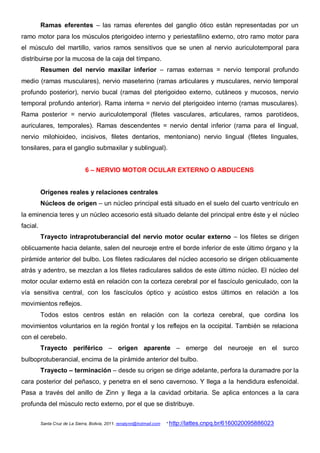 Ramas eferentes – las ramas eferentes del ganglio ótico están representadas por un
ramo motor para los músculos pterigoideo interno y periestafilino externo, otro ramo motor para
el músculo del martillo, varios ramos sensitivos que se unen al nervio auriculotemporal para
distribuirse por la mucosa de la caja del tímpano.
          Resumen del nervio maxilar inferior – ramas externas = nervio temporal profundo
medio (ramas musculares), nervio maseterino (ramas articulares y musculares, nervio temporal
profundo posterior), nervio bucal (ramas del pterigoideo externo, cutáneos y mucosos, nervio
temporal profundo anterior). Rama interna = nervio del pterigoideo interno (ramas musculares).
Rama posterior = nervio auriculotemporal (filetes vasculares, articulares, ramos parotídeos,
auriculares, temporales). Ramas descendentes = nervio dental inferior (rama para el lingual,
nervio milohioideo, incisivos, filetes dentarios, mentoniano) nervio lingual (filetes linguales,
tonsilares, para el ganglio submaxilar y sublingual).


                                6 – NERVIO MOTOR OCULAR EXTERNO O ABDUCENS


          Orígenes reales y relaciones centrales
          Núcleos de origen – un núcleo principal está situado en el suelo del cuarto ventrículo en
la eminencia teres y un núcleo accesorio está situado delante del principal entre éste y el núcleo
facial.
          Trayecto intraprotuberancial del nervio motor ocular externo – los filetes se dirigen
oblicuamente hacia delante, salen del neuroeje entre el borde inferior de este último órgano y la
pirámide anterior del bulbo. Los filetes radiculares del núcleo accesorio se dirigen oblicuamente
atrás y adentro, se mezclan a los filetes radiculares salidos de este último núcleo. El núcleo del
motor ocular externo está en relación con la corteza cerebral por el fascículo geniculado, con la
vía sensitiva central, con los fascículos óptico y acústico estos últimos en relación a los
movimientos reflejos.
          Todos estos centros están en relación con la corteza cerebral, que cordina los
movimientos voluntarios en la región frontal y los reflejos en la occipital. También se relaciona
con el cerebelo.
          Trayecto periférico – origen aparente – emerge del neuroeje en el surco
bulboprotuberancial, encima de la pirámide anterior del bulbo.
          Trayecto – terminación – desde su origen se dirige adelante, perfora la duramadre por la
cara posterior del peñasco, y penetra en el seno cavernoso. Y llega a la hendidura esfenoidal.
Pasa a través del anillo de Zinn y llega a la cavidad orbitaria. Se aplica entonces a la cara
profunda del músculo recto externo, por el que se distribuye.

          Santa Cruz de La Sierra, Bolivia, 2011. renatynn@hotmail.com   * http://lattes.cnpq.br/6160020095886023
 