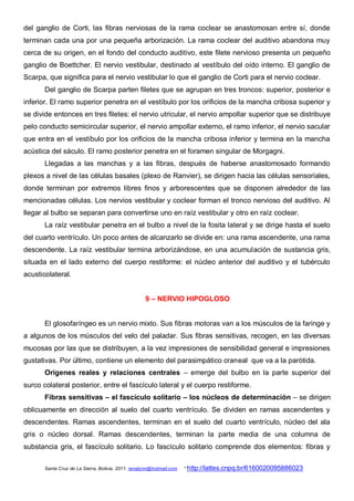 del ganglio de Corti, las fibras nerviosas de la rama coclear se anastomosan entre sí, donde
terminan cada una por una pequeña arborización. La rama coclear del auditivo abandona muy
cerca de su origen, en el fondo del conducto auditivo, este filete nervioso presenta un pequeño
ganglio de Boettcher. El nervio vestibular, destinado al vestíbulo del oído interno. El ganglio de
Scarpa, que significa para el nervio vestibular lo que el ganglio de Corti para el nervio coclear.
       Del ganglio de Scarpa parten filetes que se agrupan en tres troncos: superior, posterior e
inferior. El ramo superior penetra en el vestíbulo por los orificios de la mancha cribosa superior y
se divide entonces en tres filetes: el nervio utricular, el nervio ampollar superior que se distribuye
pelo conducto semicircular superior, el nervio ampollar externo, el ramo inferior, el nervio sacular
que entra en el vestíbulo por los orificios de la mancha cribosa inferior y termina en la mancha
acústica del sáculo. El ramo posterior penetra en el foramen singular de Morgagni.
       Llegadas a las manchas y a las fibras, después de haberse anastomosado formando
plexos a nivel de las células basales (plexo de Ranvier), se dirigen hacia las células sensoriales,
donde terminan por extremos libres finos y arborescentes que se disponen alrededor de las
mencionadas células. Los nervios vestibular y coclear forman el tronco nervioso del auditivo. Al
llegar al bulbo se separan para convertirse uno en raíz vestibular y otro en raíz coclear.
       La raíz vestibular penetra en el bulbo a nivel de la fosita lateral y se dirige hasta el suelo
del cuarto ventrículo. Un poco antes de alcanzarlo se divide en: una rama ascendente, una rama
descendente. La raíz vestibular termina arborizándose, en una acumulación de sustancia gris,
situada en el lado externo del cuerpo restiforme: el núcleo anterior del auditivo y el tubérculo
acusticolateral.


                                                    9 – NERVIO HIPOGLOSO


       El glosofaríngeo es un nervio mixto. Sus fibras motoras van a los músculos de la faringe y
a algunos de los músculos del velo del paladar. Sus fibras sensitivas, recogen, en las diversas
mucosas por las que se distribuyen, a la vez impresiones de sensibilidad general e impresiones
gustativas. Por último, contiene un elemento del parasimpático craneal que va a la parótida.
       Orígenes reales y relaciones centrales – emerge del bulbo en la parte superior del
surco colateral posterior, entre el fascículo lateral y el cuerpo restiforme.
       Fibras sensitivas – el fascículo solitario – los núcleos de determinación – se dirigen
oblicuamente en dirección al suelo del cuarto ventrículo. Se dividen en ramas ascendentes y
descendentes. Ramas ascendentes, terminan en el suelo del cuarto ventrículo, núcleo del ala
gris o núcleo dorsal. Ramas descendentes, terminan la parte media de una columna de
substancia gris, el fascículo solitario. Lo fascículo solitario comprende dos elementos: fibras y

       Santa Cruz de La Sierra, Bolivia, 2011. renatynn@hotmail.com   * http://lattes.cnpq.br/6160020095886023
 