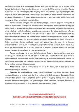 ramificaciones cerca de la ventana oval. Ramos anteriores, se distribuye por la mucosa de la
trompa de Eustaquio, filete anastomótico, con el nombre de filete carótico-timpánico. Ramos
superiores, son los petrosos profundos mayor y menor del peñasco. Aquí el petroso profundo
mayor, se une al nervio petroso superficial mayor, para formar el nervio vidiano. Que termina en
el ganglio esfenopalatino. El nervio petroso profundo0 menor se une al nervio petroso superficial
menor y se dirigen juntos hacia el ganglio ótico.
      Nervio del estilo faríngeo, nace del tronco principal, envía un pequeño ramo para el
músculo estilo hioideo y otro para el vientre posterior del digástrico. Nervio del estilogloso y del
gloso estafilino, arranca del glosofaríngeo y llega así a la cara anterior, envía a los dos músculos
gloso estafilino y estilogloso. Ramos carotideos, en número de dos o tres, contribuyen a formar
el plexo intercarotídeo. Ramos faríngeos, en número de dos o tres, se anastomosan con los
ramos faríngeos procedentes del neumogástrico, sistema neurovegetativo para formar el plexo
faríngeo, de donde salen tres órdenes de filetes terminales. Filetes motores, filetes vasculares y
filetes sensitivos. Ramos tonsilares, nacen del glosofaríngeo, la base de la lengua,
anastomosándose entre sí, un pequeño plexo, el plexo tonsilar de Andresch. Salen filetes muy
finos, que se distribuyen por la mucosa que cubre la amígdala y el pilar anterior del velo del
paladar. Algunos de estos filetes terminan en la glándula.
      Ramas terminales – a la base de la lengua, se divide en dos ramas terminales, una
externa y otra interna, dividen y subdividen en multitud de pequeños filamentos que cruzan y
anastomosan en todos sentidos, constituye el plexo lingual. Los filetes internos de uno de los
glosofaríngeos se reúnen con los filetes correspondientes del glosofaríngeo del lado opuesto, se
forma el plexo coronario del agujero ciego.
      Anastomosis – con el neumogástrico por uno o dos filetes, con el facial por el ramo
sensitivo, con el gran simpático.
      Resumen del nervio glosofaríngeo – ramos colaterales = nervio de Jacobson, filetes
mucosos (filetes de la ventana redonda, de la ventana oval, de la trompa de Eustaquio), filetes
anastomóticos (filetes carótico timpánico, petroso profundo mayor y menor), nervio del estilo
faríngeo, nervio del estilogloso y del glosofaríngeo, ramos carotideos, faríngeos, tonsilares y
linguales. Ramos terminales = ramos linguales (plexo del agujero ciego)




                                            10 – NERVIO NEUMOGÁSTRICO O
            FARINGOLARINGONEUMOCARDIOGASTROENTERORENAL O VAGO



      Santa Cruz de La Sierra, Bolivia, 2011. renatynn@hotmail.com   * http://lattes.cnpq.br/6160020095886023
 
