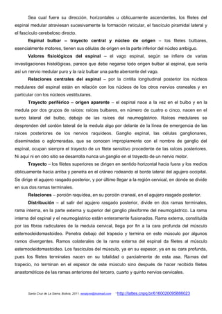 Sea cual fuere su dirección, horizontales u oblicuamente ascendentes, los filetes del
espinal medular atraviesan sucesivamente la formación reticular, el fascículo piramidal lateral y
el fascículo cerebeloso directo.
      Espinal bulbar – trayecto central y núcleo de origen – los filetes bulbares,
esencialmente motores, tienen sus células de origen en la parte inferior del núcleo ambiguo.
      Valores fisiológicos del espinal – el vago espinal, según se infiere de varias
investigaciones histológicas, parece que debe negarse todo origen bulbar al espinal, que sería
así un nervio medular puro y la raíz bulbar una parte aberrante del vago.
      Relaciones centrales del espinal – por la cintilla longitudinal posterior los núcleos
medulares del espinal están en relación con los núcleos de los otros nervios craneales y en
particular con los núcleos vestibulares.
      Trayecto periférico – origen aparente – el espinal nace a la vez en el bulbo y en la
medula por dos grupos de raíces: raíces bulbares, en número de cuatro o cinco, nacen en el
surco lateral del bulbo, debajo de las raíces del neumogástrico. Raíces medulares se
desprenden del cordón lateral de la medula algo por delante de la línea de emergencia de las
raíces posteriores de los nervios raquídeos. Ganglio espinal, las células ganglionares,
diseminadas o aglomeradas, que se conocen impropiamente con el nombre de ganglio del
espinal, ocupan siempre el trayecto de un filete sensitivo procedente de las raíces posteriores.
Ni aquí ni en otro sitio se desarrolla nunca un ganglio en el trayecto de un nervio motor.
      Trayecto – los filetes superiores se dirigen en sentido horizontal hacia fuera y los medios
oblicuamente hacia arriba y penetra en el cráneo rodeando el borde lateral del agujero occipital.
Se dirige el agujero rasgado posterior, y por último llegar a la región cervical, en donde se divide
en sus dos ramas terminales.
      Relaciones – porción raquídea, en su porción craneal, en el agujero rasgado posterior.
      Distribución – al salir del agujero rasgado posterior, divide en dos ramas terminales,
rama interna, en la parte externa y superior del ganglio plexiforme del neumogástrico. La rama
interna del espinal y el neumogástrico están enteramente fusionados. Rama externa, constituida
por las fibras radiculares de la medula cervical, llega por fin a la cara profunda del músculo
esternocleidomastoideo. Penetra debajo del trapecio y termina en este músculo por algunos
ramos divergentes. Ramos colaterales de la rama externa del espinal da filetes al músculo
esternocleidomastoideo. Los fascículos del músculo, ya en su espesor, ya en su cara profunda,
pues los filetes terminales nacen en su totalidad o parcialmente de esta asa. Ramas del
trapecio, no terminan en el espesor de este músculo sino después de hacer recibido filetes
anastomóticos de las ramas anteriores del tercero, cuarto y quinto nervios cervicales.



      Santa Cruz de La Sierra, Bolivia, 2011. renatynn@hotmail.com   * http://lattes.cnpq.br/6160020095886023
 