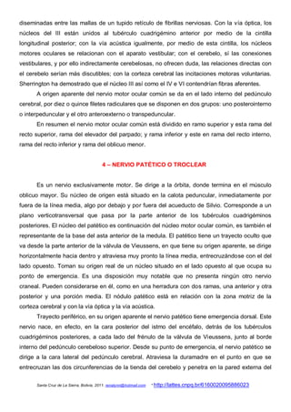 diseminadas entre las mallas de un tupido retículo de fibrillas nerviosas. Con la vía óptica, los
núcleos del III están unidos al tubérculo cuadrigémino anterior por medio de la cintilla
longitudinal posterior; con la vía acústica igualmente, por medio de esta cintilla, los núcleos
motores oculares se relacionan con el aparato vestibular; con el cerebelo, sí las conexiones
vestibulares, y por ello indirectamente cerebelosas, no ofrecen duda, las relaciones directas con
el cerebelo serían más discutibles; con la corteza cerebral las incitaciones motoras voluntarias.
Sherrington ha demostrado que el núcleo III así como el IV e VI contendrían fibras aferentes.
       A origen aparente del nervio motor ocular común se da en el lado interno del pedúnculo
cerebral, por diez o quince filetes radiculares que se disponen en dos grupos: uno posterointerno
o interpeduncular y el otro anteroexterno o transpeduncular.
       En resumen el nervio motor ocular común está dividido en ramo superior y esta rama del
recto superior, rama del elevador del parpado; y rama inferior y este en rama del recto interno,
rama del recto inferior y rama del oblicuo menor.


                                           4 – NERVIO PATÉTICO O TROCLEAR


       Es un nervio exclusivamente motor. Se dirige a la órbita, donde termina en el músculo
oblicuo mayor. Su núcleo de origen está situado en la calota peduncular, inmediatamente por
fuera de la línea media, algo por debajo y por fuera del acueducto de Silvio. Corresponde a un
plano verticotransversal que pasa por la parte anterior de los tubérculos cuadrigéminos
posteriores. El núcleo del patético es continuación del núcleo motor ocular común, es también el
representante de la base del asta anterior de la medula. El patético tiene un trayecto oculto que
va desde la parte anterior de la válvula de Vieussens, en que tiene su origen aparente, se dirige
horizontalmente hacia dentro y atraviesa muy pronto la línea media, entrecruzándose con el del
lado opuesto. Toman su origen real de un núcleo situado en el lado opuesto al que ocupa su
ponto de emergencia. Es una disposición muy notable que no presenta ningún otro nervio
craneal. Pueden considerarse en él, como en una herradura con dos ramas, una anterior y otra
posterior y una porción media. El nódulo patético está en relación con la zona motriz de la
corteza cerebral y con la vía óptica y la vía acústica.
       Trayecto periférico, en su origen aparente el nervio patético tiene emergencia dorsal. Este
nervio nace, en efecto, en la cara posterior del istmo del encéfalo, detrás de los tubérculos
cuadrigéminos posteriores, a cada lado del frénulo de la válvula de Vieussens, junto al borde
interno del pedúnculo cerebeloso superior. Desde su punto de emergencia, el nervio patético se
dirige a la cara lateral del pedúnculo cerebral. Atraviesa la duramadre en el punto en que se
entrecruzan las dos circunferencias de la tienda del cerebelo y penetra en la pared externa del

       Santa Cruz de La Sierra, Bolivia, 2011. renatynn@hotmail.com   * http://lattes.cnpq.br/6160020095886023
 